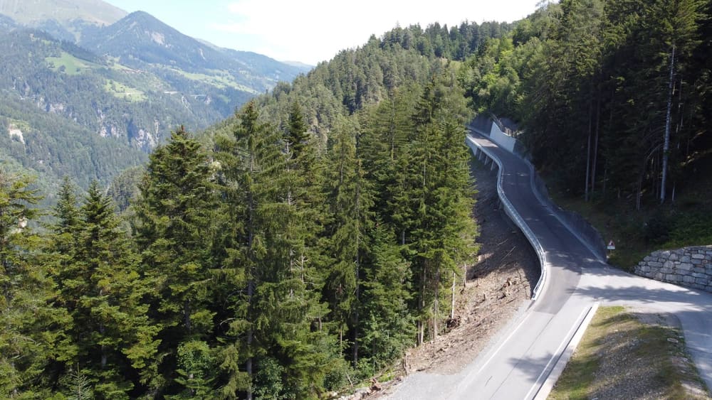 Die neue Lehnenbrücke im Wald über dem Tal, von der Einmündung aus gesehen